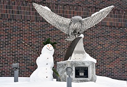 Hawk sculpture finds a frosty friend at Northeast